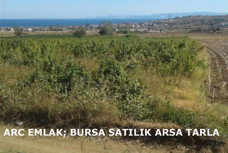ARC EMLAK; Bursa satılık arsa, satılık tarla, bursa satılık arsa fiyatları, bursa arsa ilanları ve fiyatları