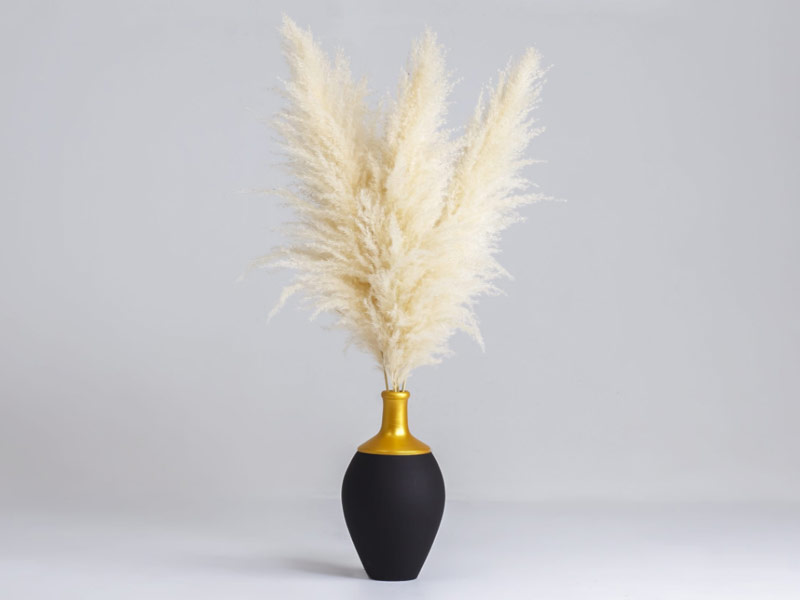 DE-COTTA; Konya kurutulmuş pampas, pampas otu, kuru pampas, pampas vazosu, büyük pampas